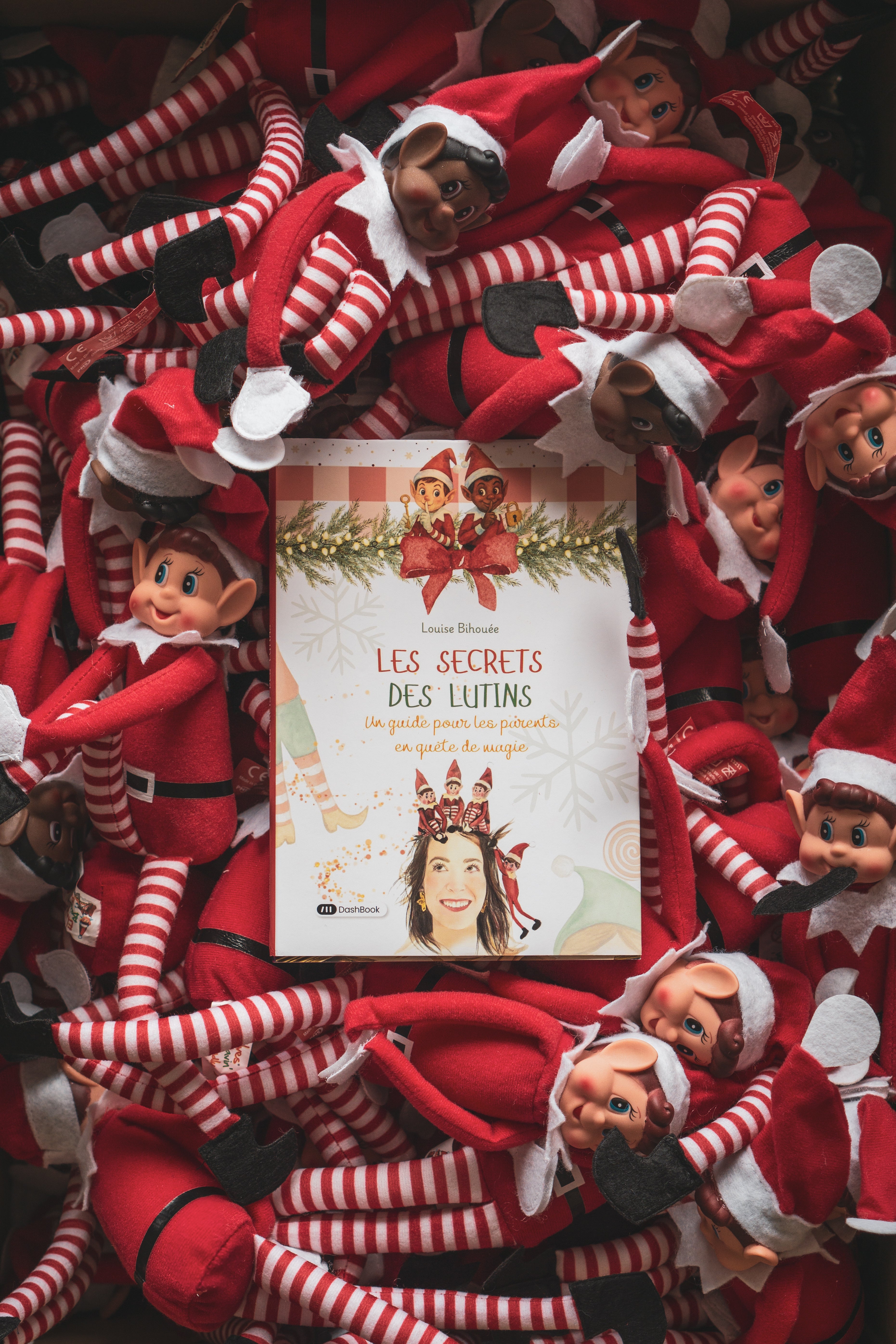 Les secrets des lutins